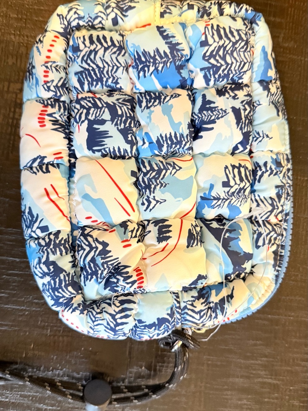 Free People Quilted Padded Drawstring Pouch in Blue & White Print